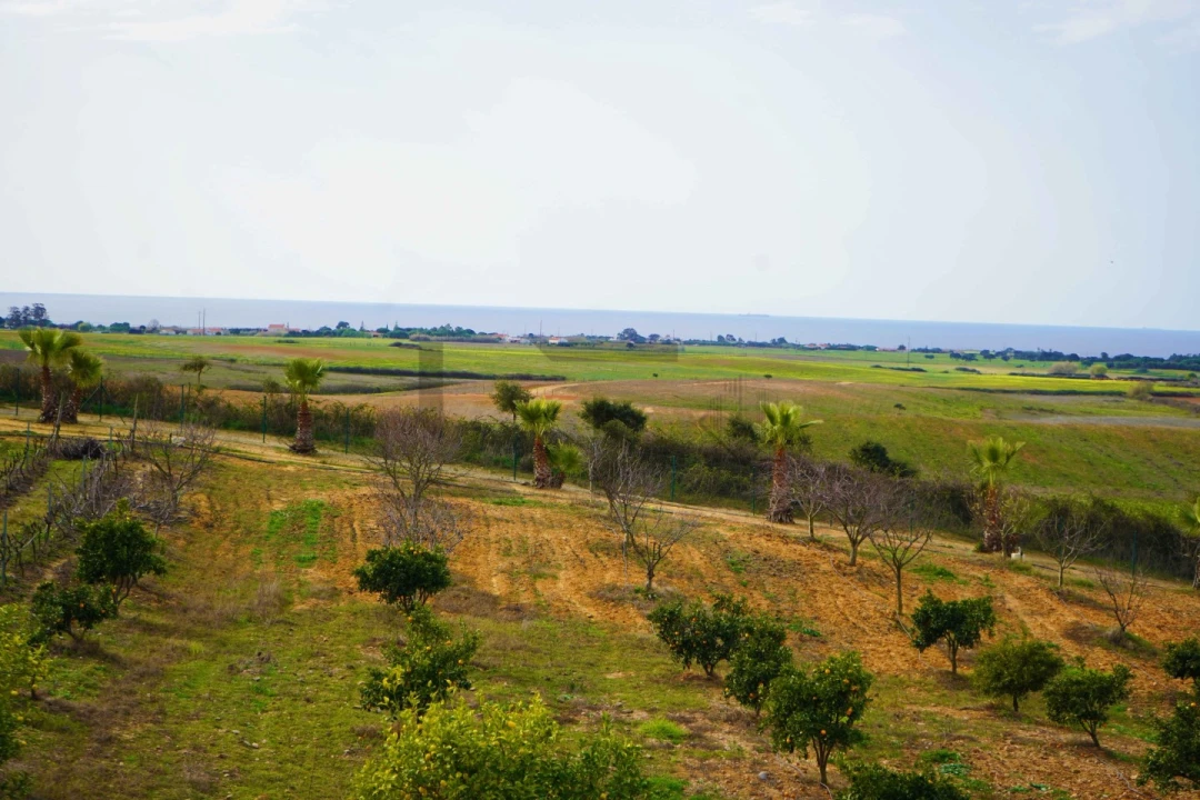 Quinta T7 para Venda em Porto Covo Foto 27