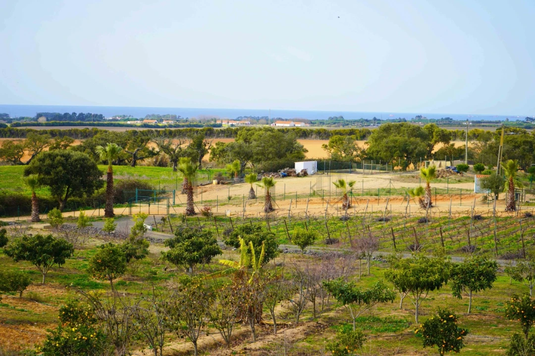 Quinta T7 para Venda em Porto Covo Foto 28