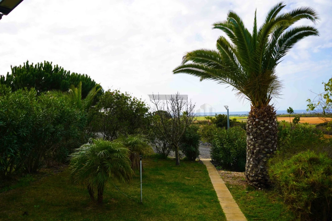 Quinta T7 para Venda em Porto Covo Foto 33