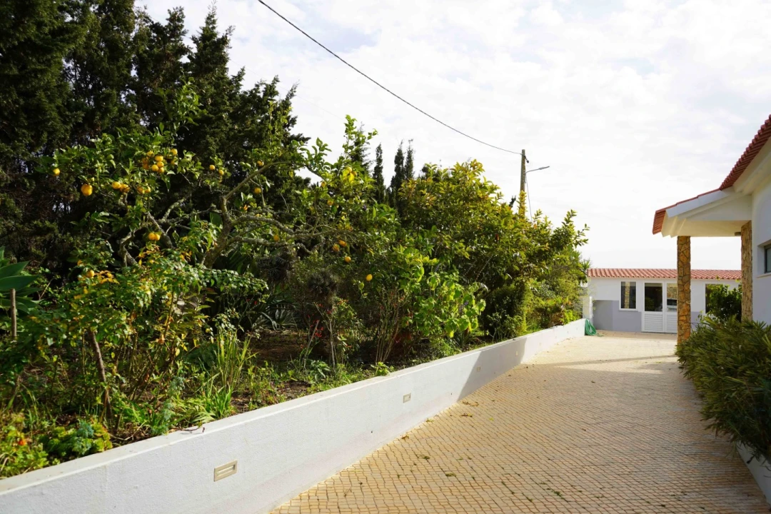 Quinta T7 para Venda em Porto Covo Foto 39