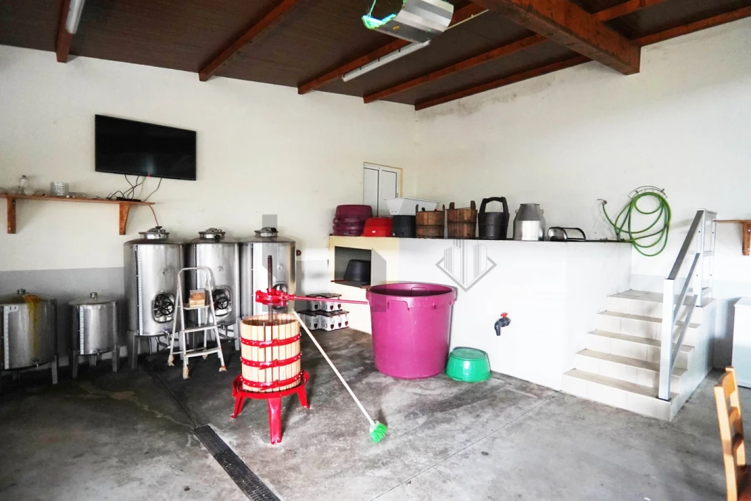 Quinta T7 para Venda em Porto Covo Foto 49