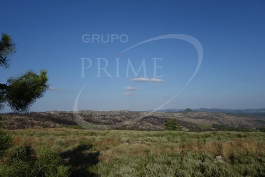 Terreno para Venda em Alijo Foto 5