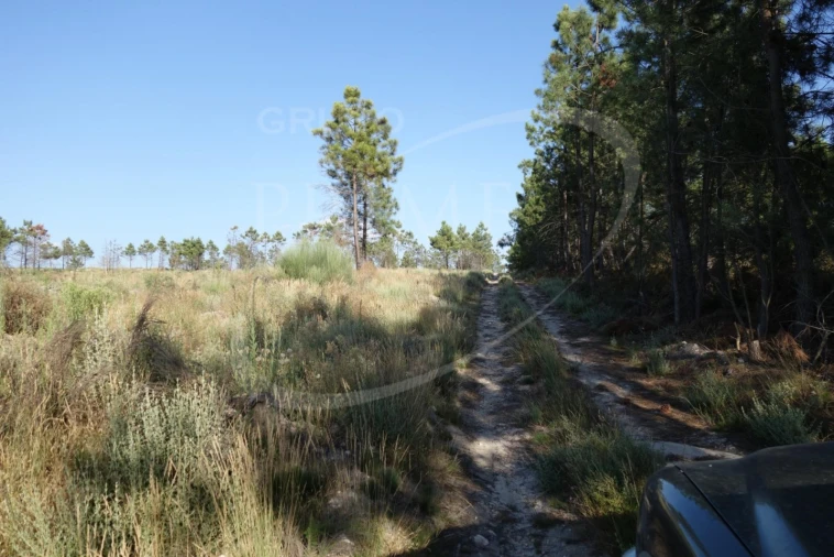 Terreno para Venda em Alijo Foto 2