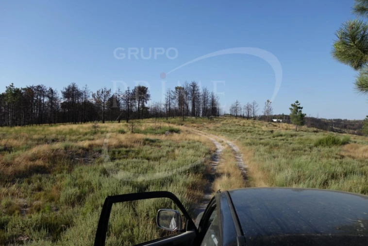 Terreno para Venda em Alijo Foto 4