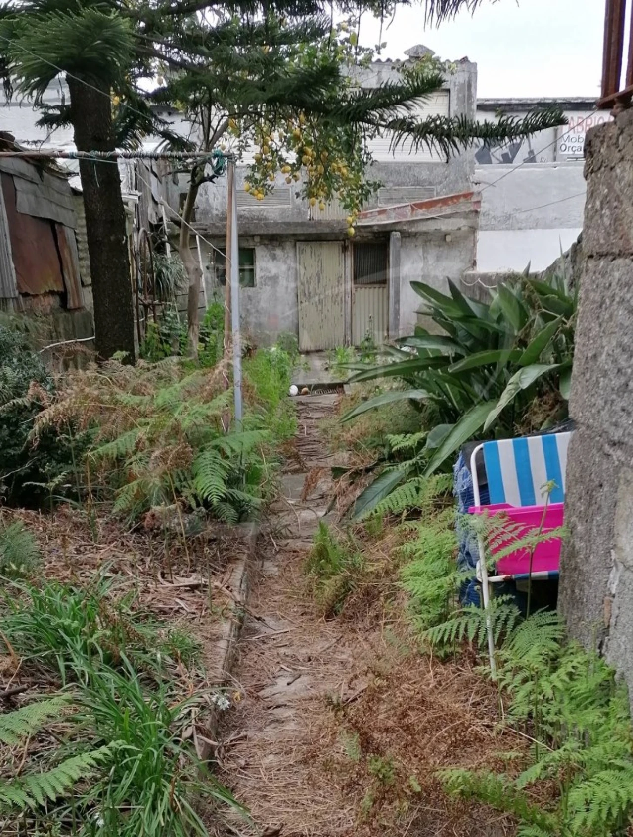 Moradia T3 para Venda em Cedofeita, Santo Ildefonso, Sé, Miragaia, São Nicolau e Vitória Foto 3