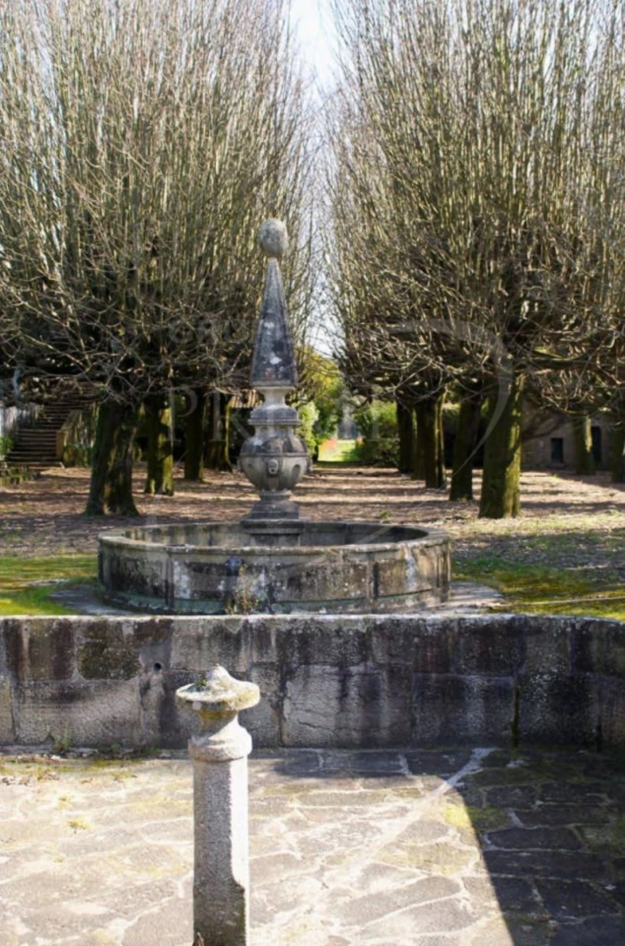 Quinta para Venda em Junqueira Foto 4