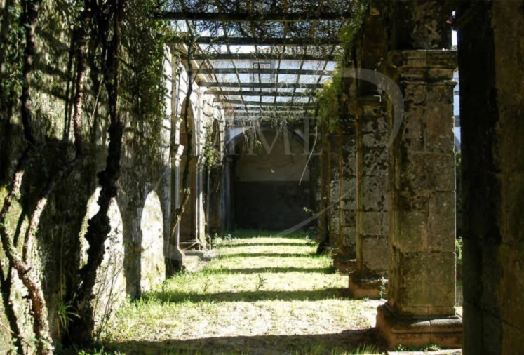 Quinta para Venda em Junqueira Foto 5