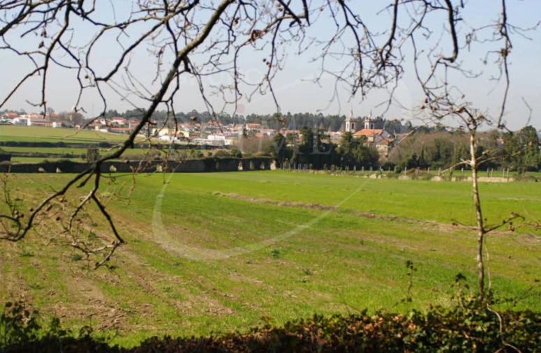 Quinta para Venda em Junqueira Foto 6