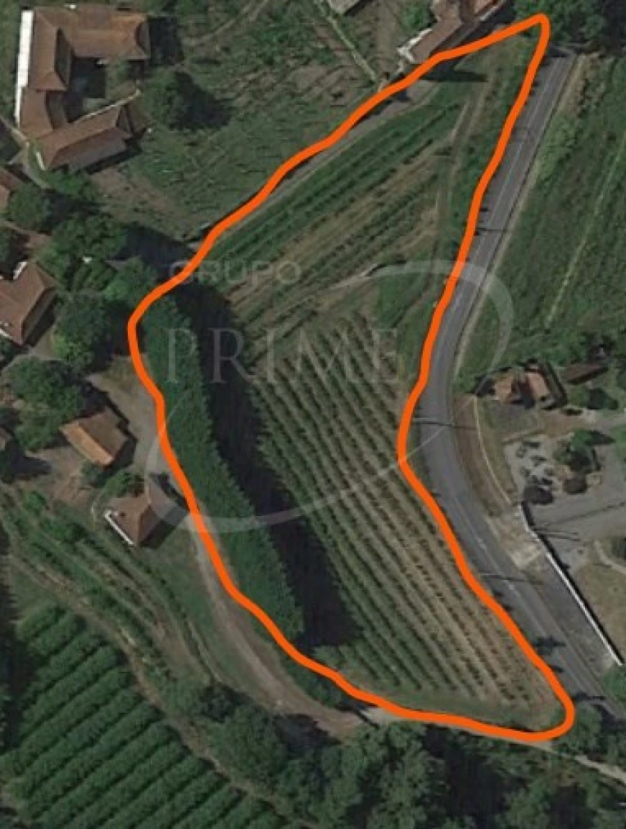 Terreno para Venda em Sobreira Foto 1