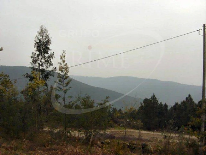 Terreno para Venda em Sopo Foto 1