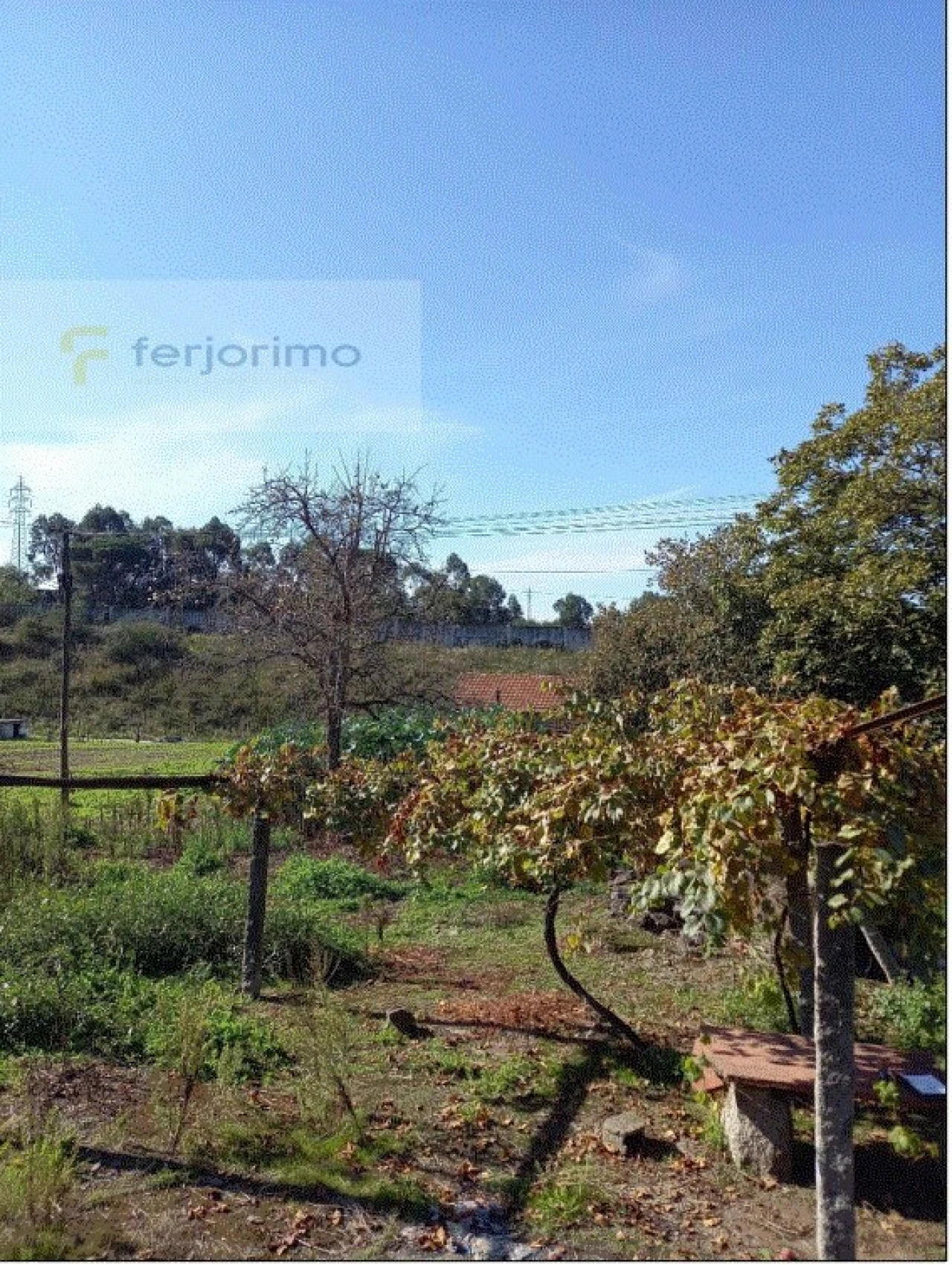 Quinta T4 para Venda em Ponte Foto 12