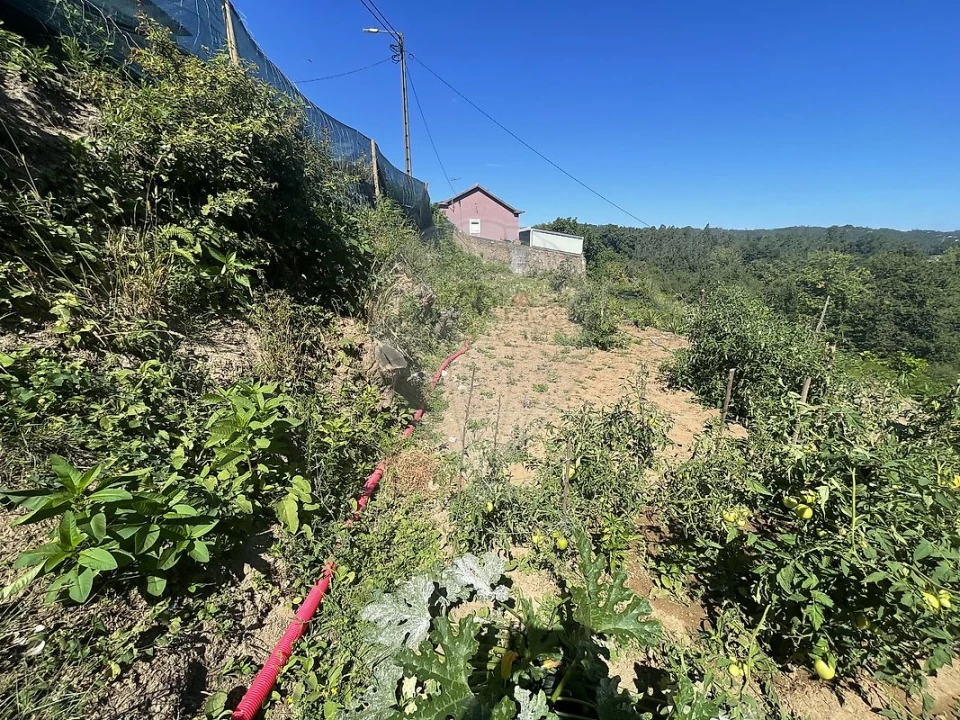 Terreno para Venda em O. Azeméis, Riba-Ul, Ul, Macinhata Seixa, Madail Foto 5