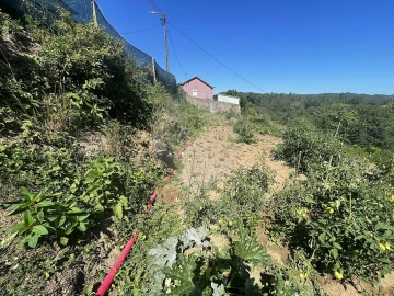 Terreno para Venda em O. Azeméis, Riba-Ul, Ul, Macinhata Seixa, Madail