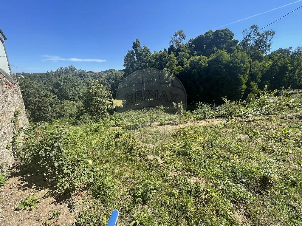 Terreno para Venda em O. Azeméis, Riba-Ul, Ul, Macinhata Seixa, Madail Foto 2