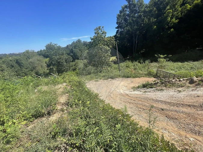 Terreno para Venda em O. Azeméis, Riba-Ul, Ul, Macinhata Seixa, Madail Foto 7