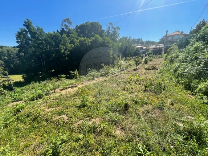 Terreno para Venda em O. Azeméis, Riba-Ul, Ul, Macinhata Seixa, Madail Foto 3