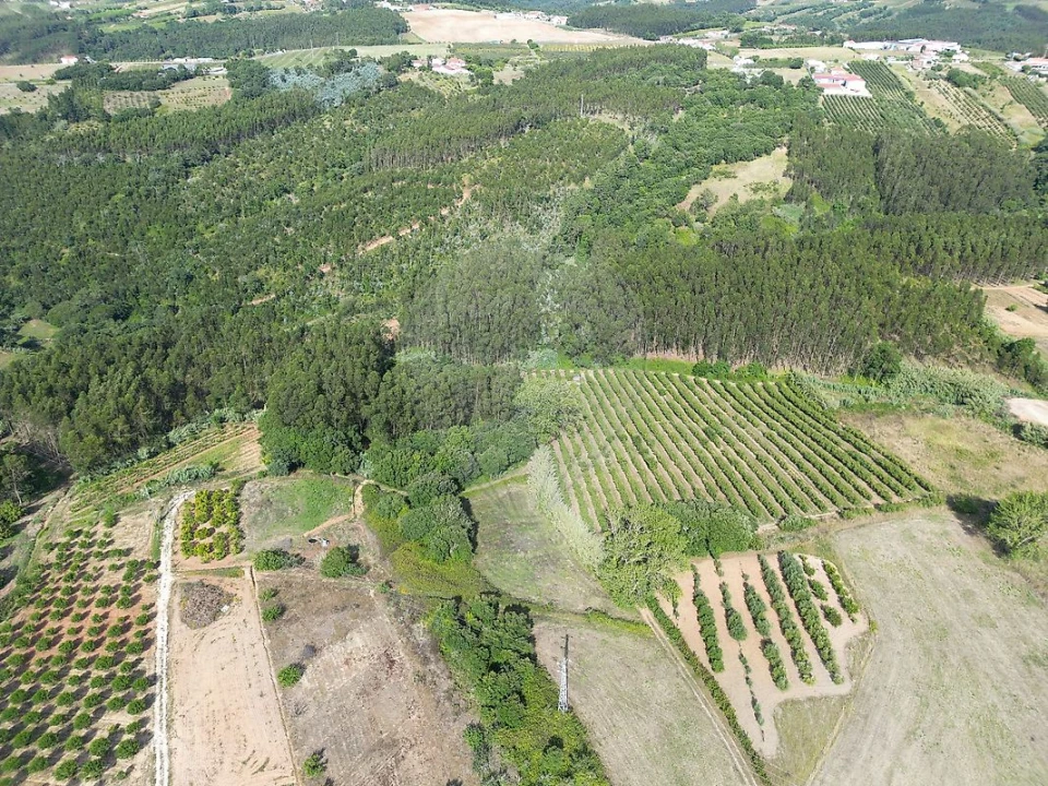 Terreno para Venda em Carvalhal Foto 6