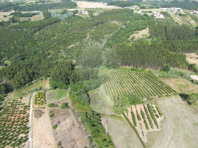 Terreno para Venda em Carvalhal Foto 6