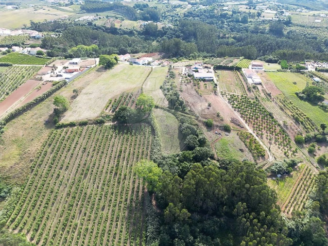 Terreno para Venda em Carvalhal Foto 5