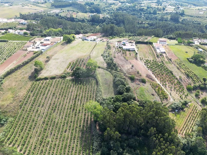 Terreno para Venda em Carvalhal Foto 4