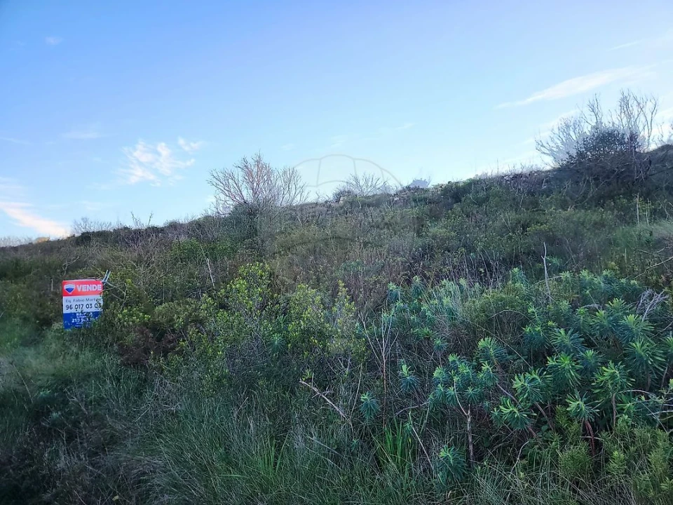 Terreno para Venda em Fanhões Foto 12