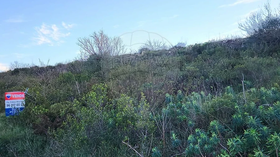 Terreno para Venda em Fanhões