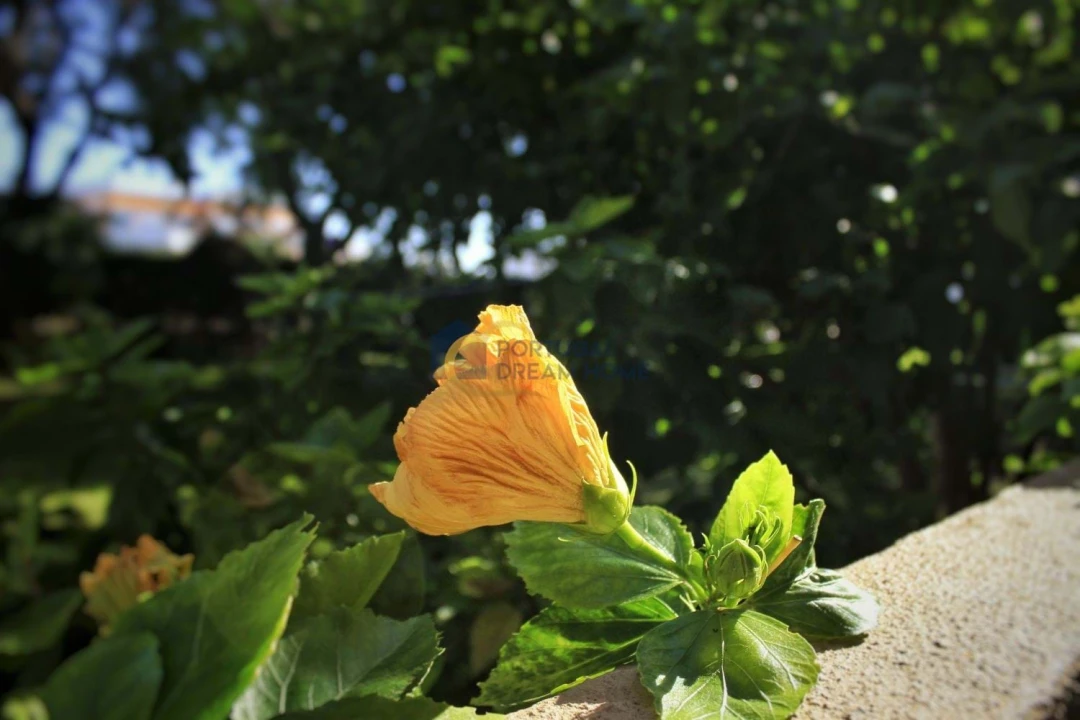 Apartamento para Venda em Guia Foto 20