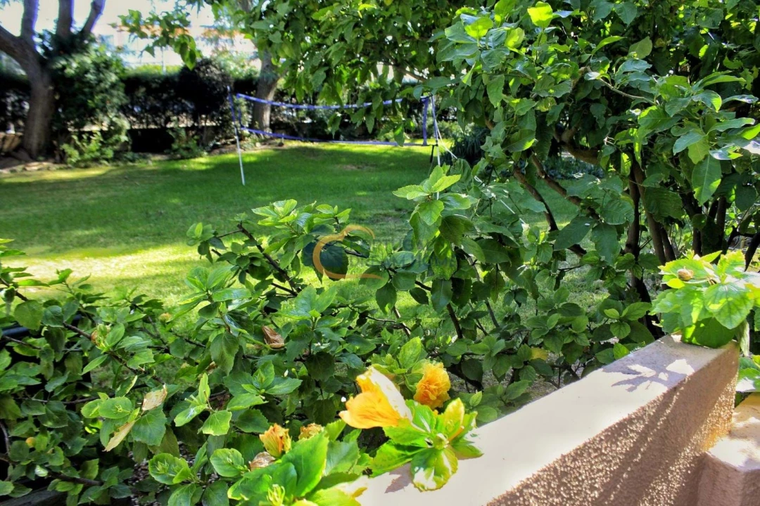 Apartamento para Venda em Guia Foto 19