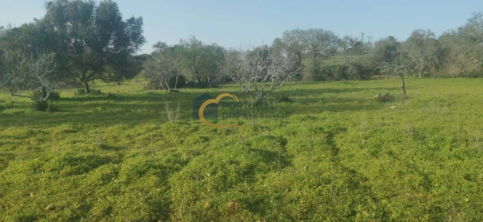 Terreno Agricola ou Rústico para Venda em Albufeira e Olhos de Água Foto 3