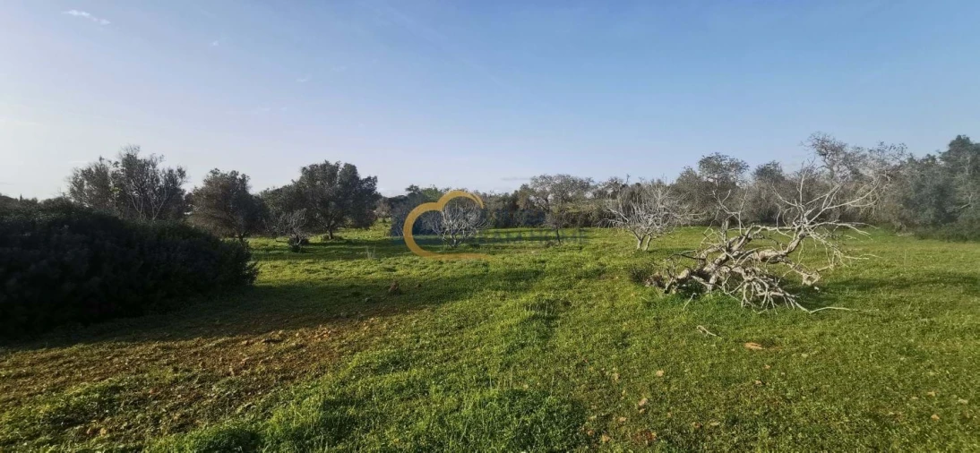 Terreno Agricola ou Rústico para Venda em Albufeira e Olhos de Água Foto 2