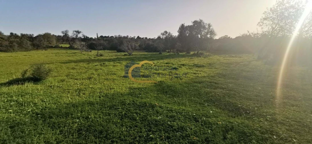 Terreno Agricola ou Rústico para Venda em Albufeira e Olhos de Água
