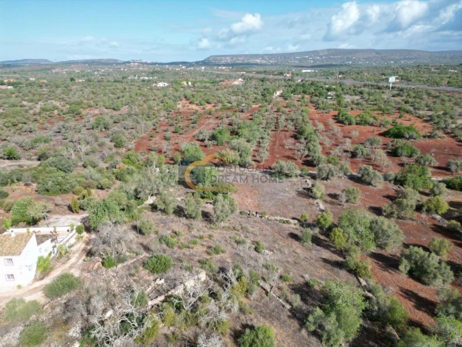 Terreno para Venda em Albufeira e Olhos de Água Foto 3