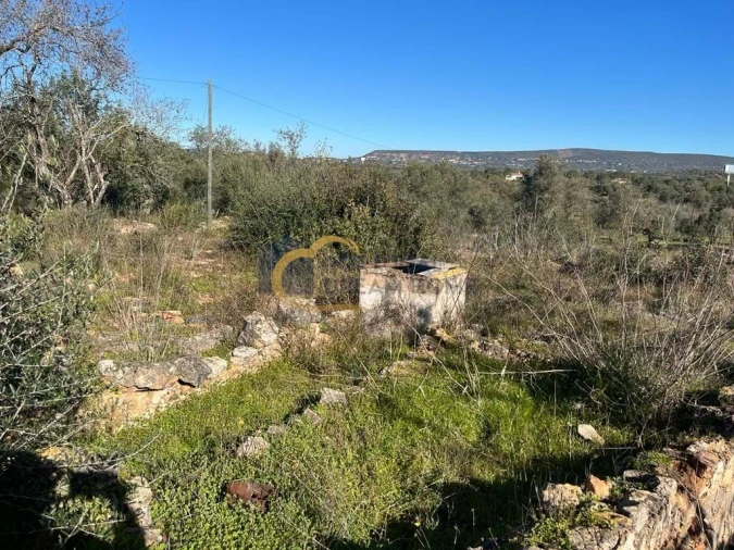 Terreno para Venda em Albufeira e Olhos de Água Foto 8
