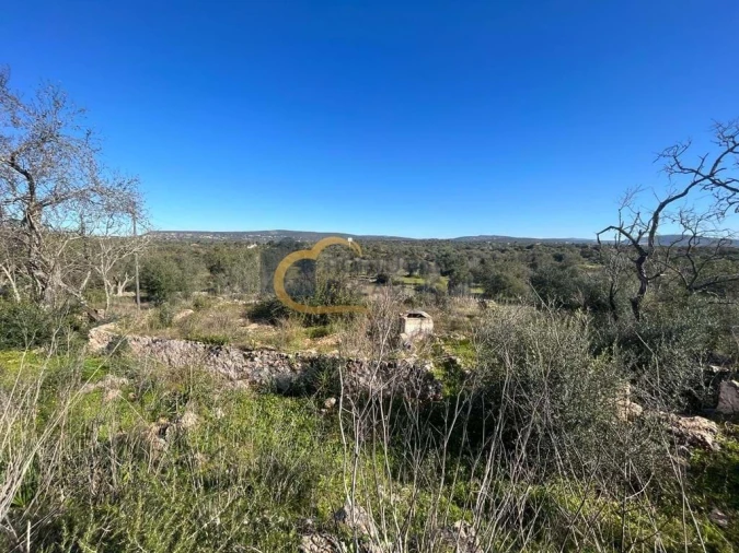Terreno para Venda em Albufeira e Olhos de Água Foto 2