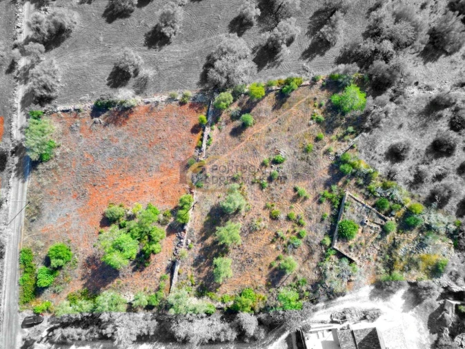 Terreno para Venda em Albufeira e Olhos de Água Foto 5