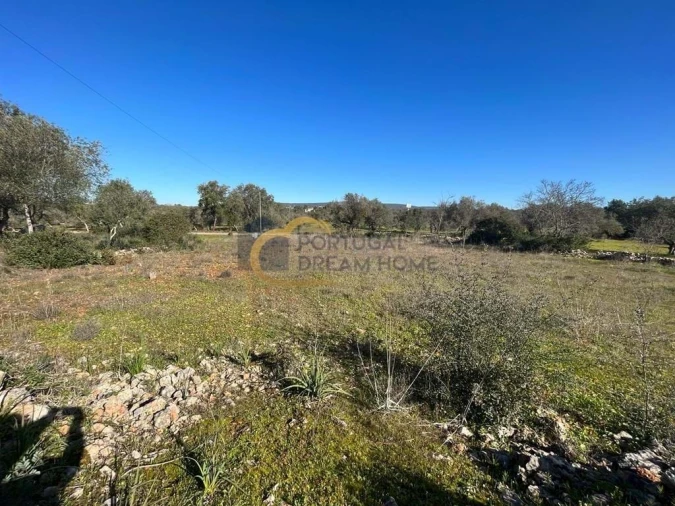 Terreno para Venda em Albufeira e Olhos de Água Foto 4