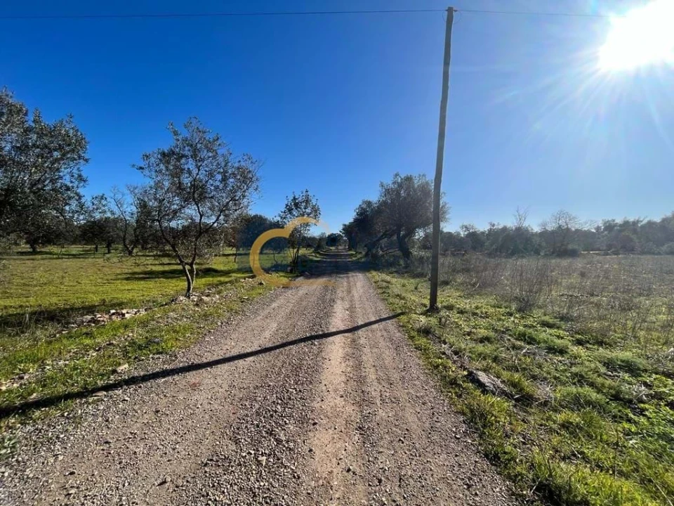 Terreno para Venda em Albufeira e Olhos de Água Foto 6