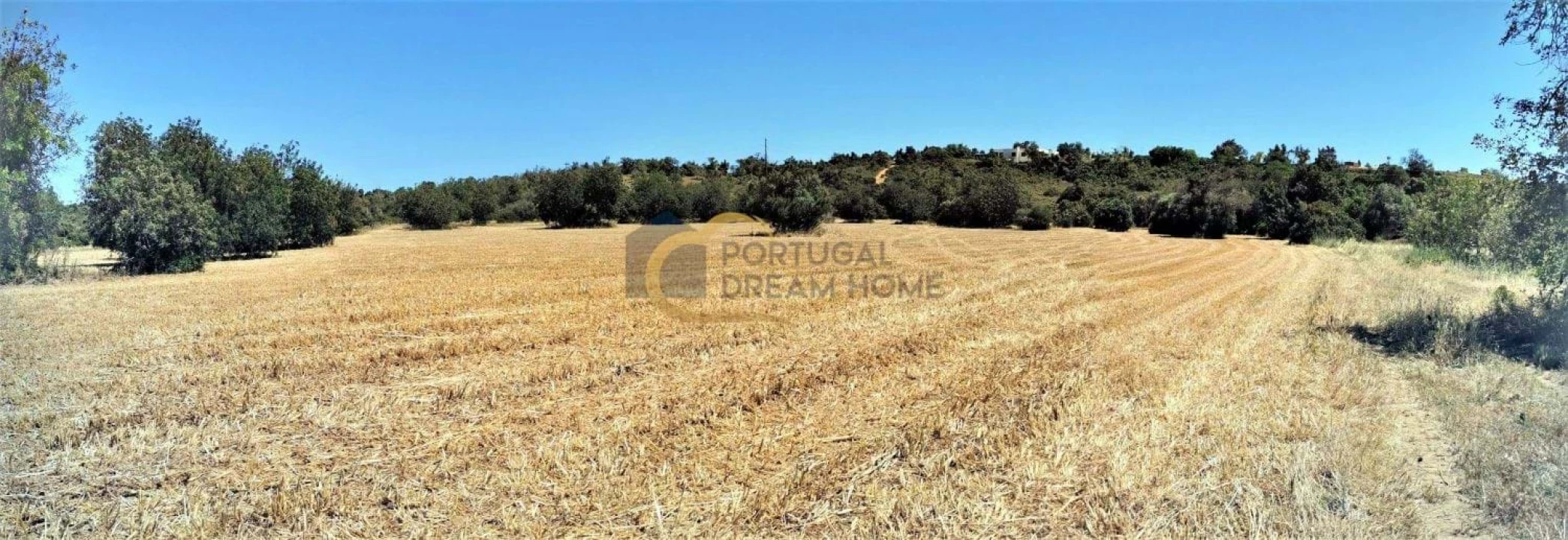 Terreno Agricola ou Rústico para Venda em São Silvestre Foto 3