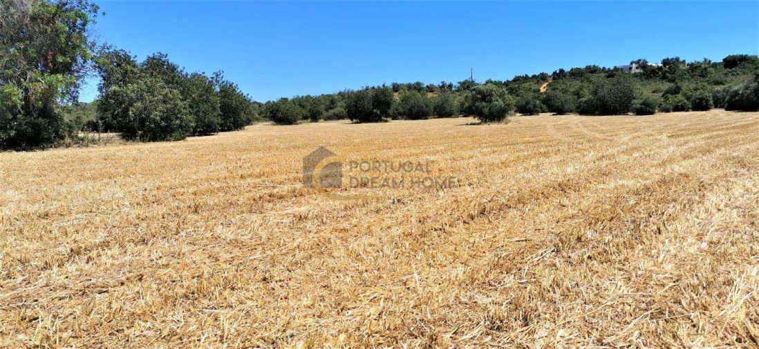 Terreno Agricola ou Rústico para Venda em São Silvestre Foto 4