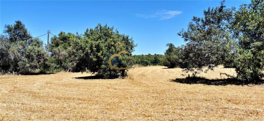 Terreno Agricola ou Rústico para Venda em São Silvestre Foto 6