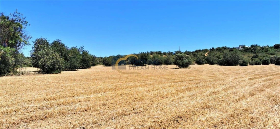 Terreno Agricola ou Rústico para Venda em São Silvestre Foto 5