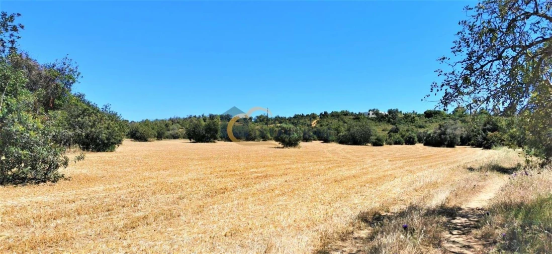 Terreno Agricola ou Rústico para Venda em São Silvestre Foto 2