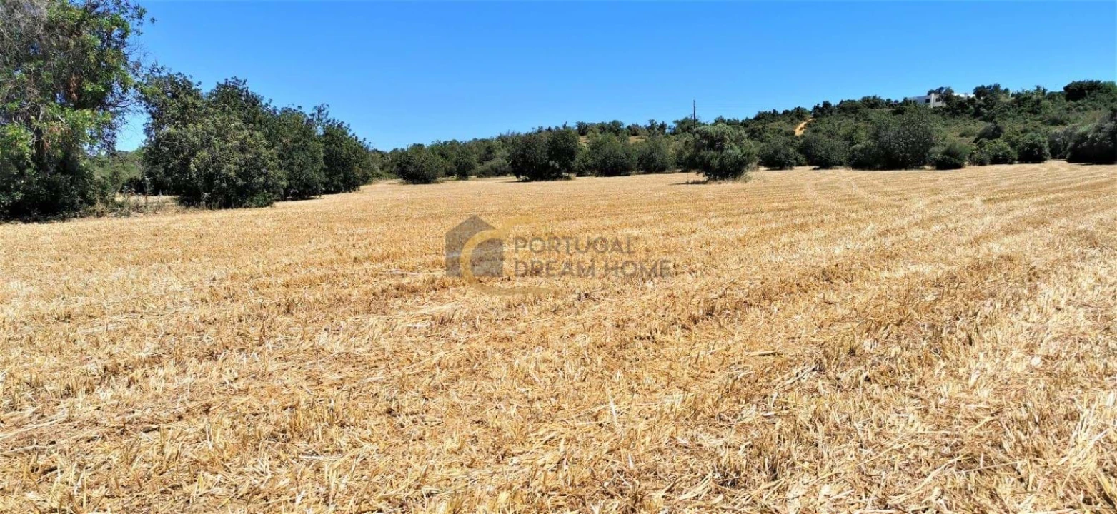 Terreno Agricola ou Rústico para Venda em São Silvestre Foto 4