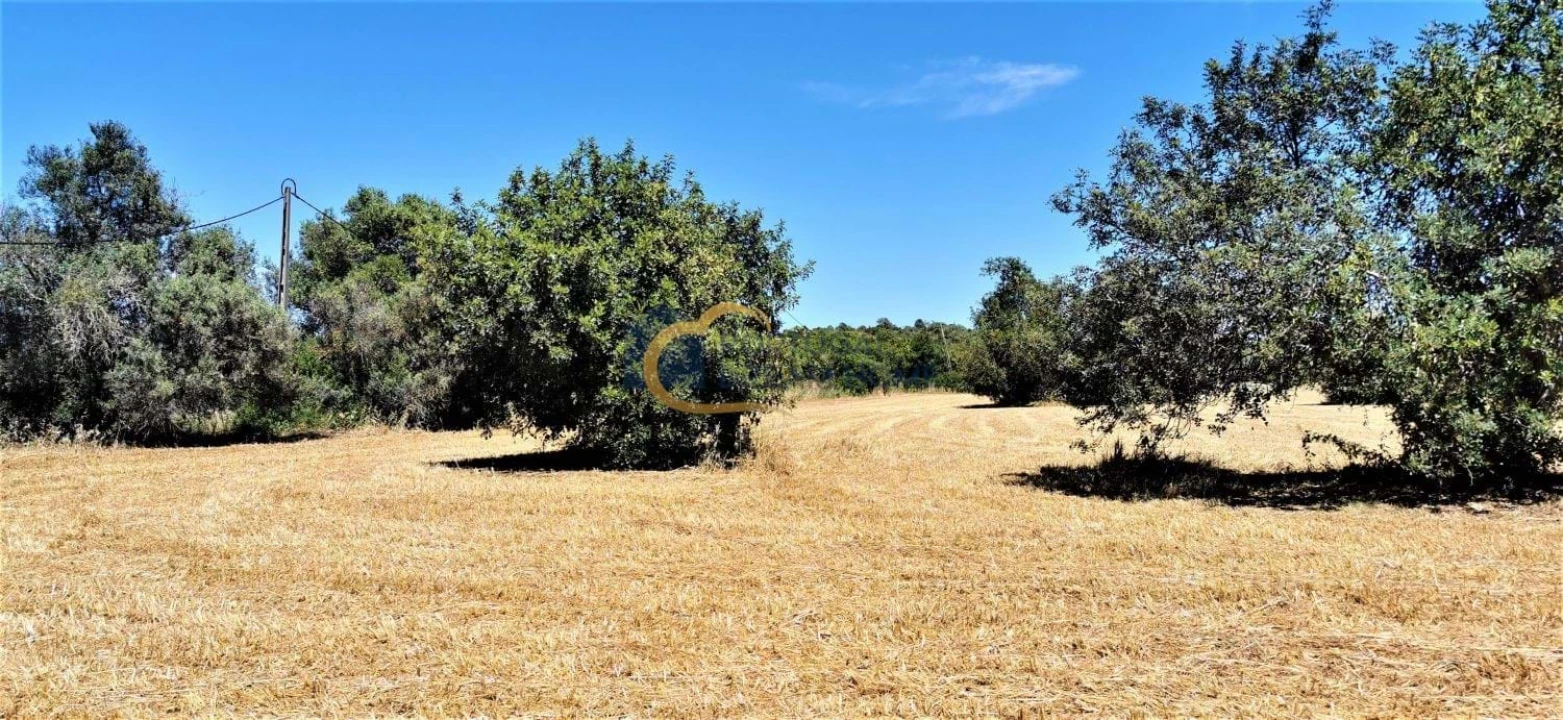Terreno Agricola ou Rústico para Venda em São Silvestre Foto 6