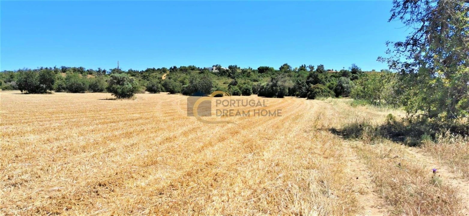 Terreno Agricola ou Rústico para Venda em São Silvestre Foto 1