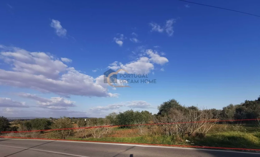 Terreno Agricola ou Rústico para Venda em Albufeira e Olhos de Água Foto 3