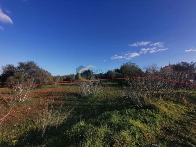 Terreno Agricola ou Rústico para Venda em Albufeira e Olhos de Água Foto 5