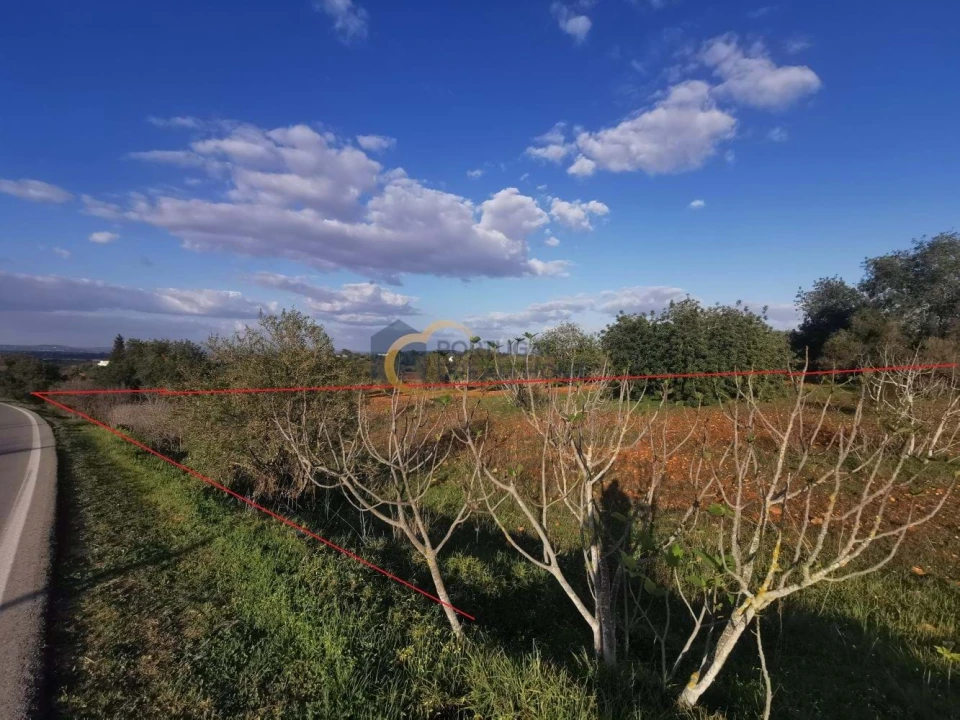 Terreno Agricola ou Rústico para Venda em Albufeira e Olhos de Água Foto 2