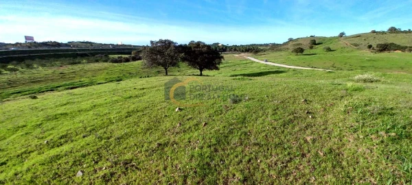 Terreno para Venda em São Bartolomeu de Messines