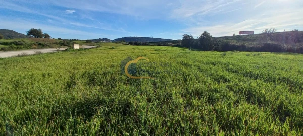Terreno para Venda em São Bartolomeu de Messines